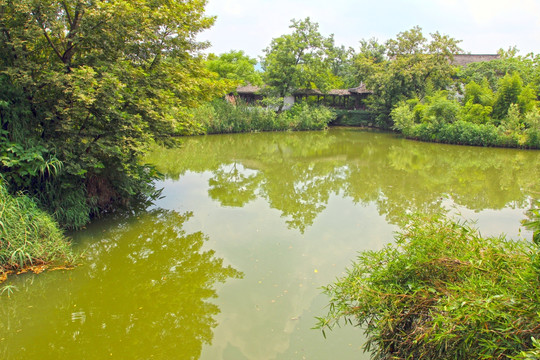 杭州西溪湿地