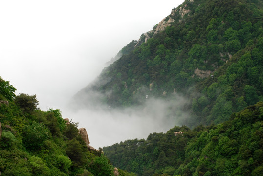 泰山 云海 泰山云海