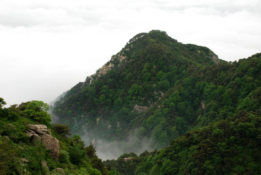 泰山 云海 泰山云海