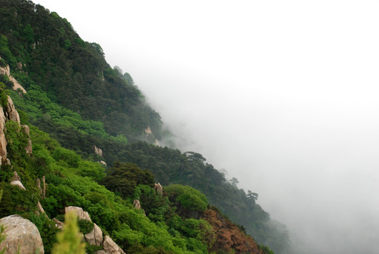 泰山 云海 泰山云海