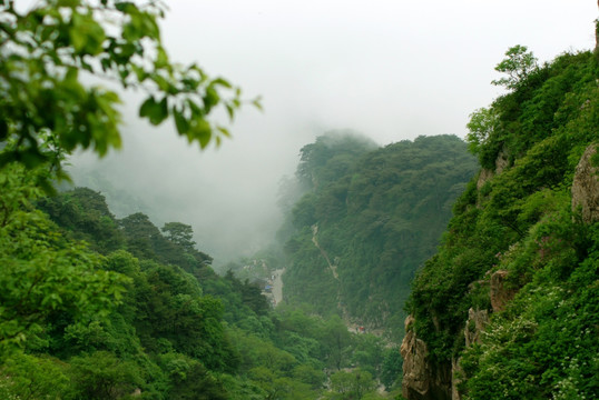 泰山 云海 泰山云海