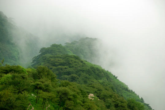 泰山 云海 泰山云海