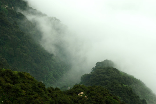 泰山 云海 泰山云海