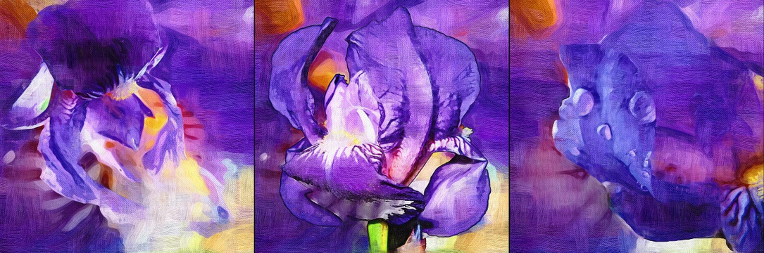 鳶尾花 無框畫 三聯(lián)畫