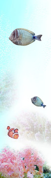 藝術(shù)玻璃平開門   海底世界