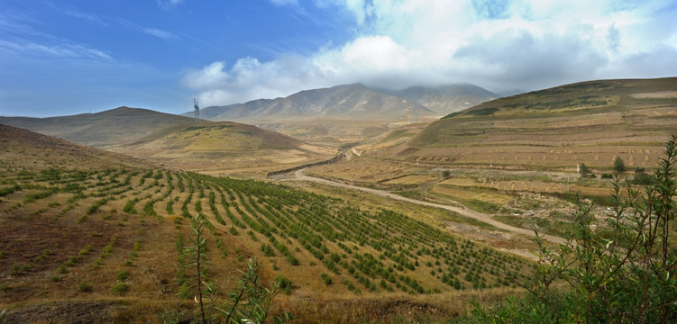 青海西藏青藏线沿途