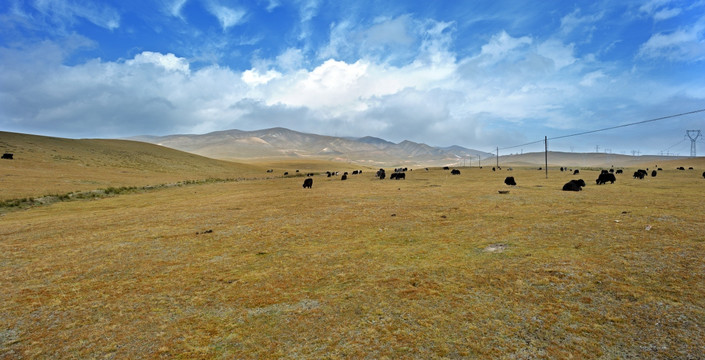 青海西藏青藏线沿途