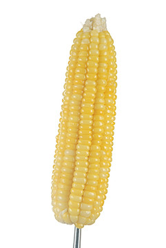 玉米棒