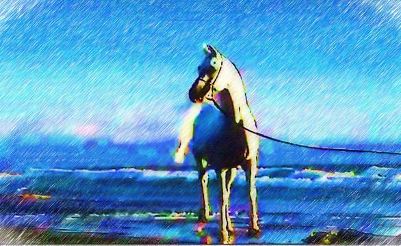 白馬