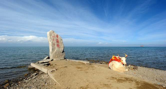 青海湖风光