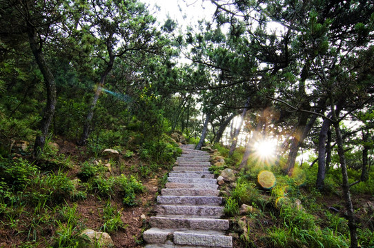 登山步道