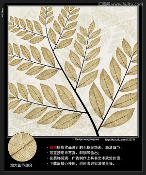 葉脈枝葉 高清圖
