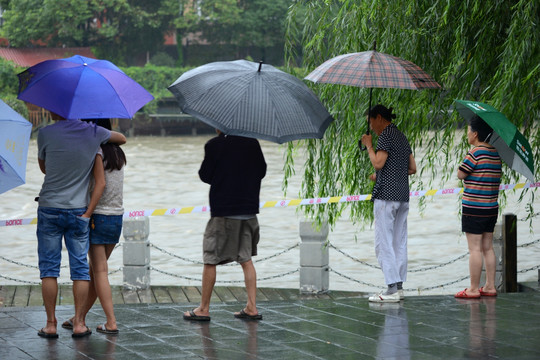 三道堰古镇游客雨中观潮