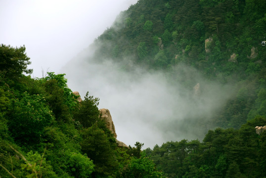 泰山 云海  泰山云海 山脉