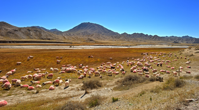 青藏线沿途风光