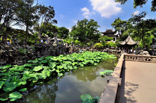 苏州狮子林夏景