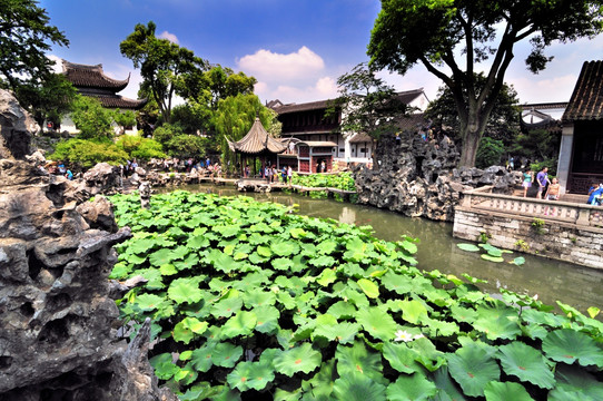 苏州狮子林夏景