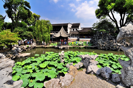 苏州狮子林夏景