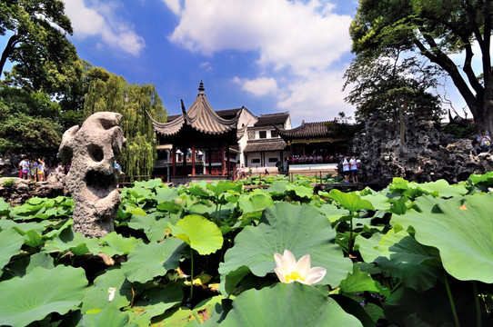 苏州狮子林夏景