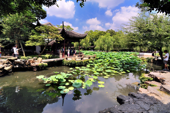 苏州拙政园夏景