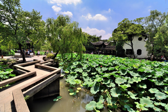 蘇州拙政園夏景