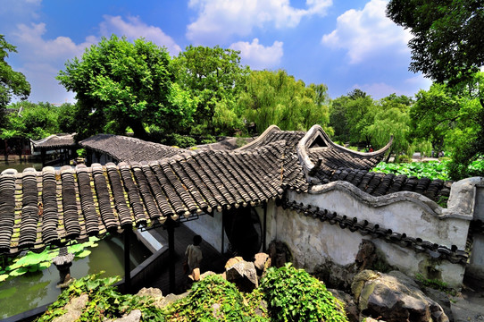 苏州拙政园夏景