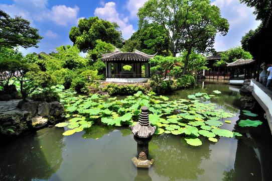 苏州拙政园夏景