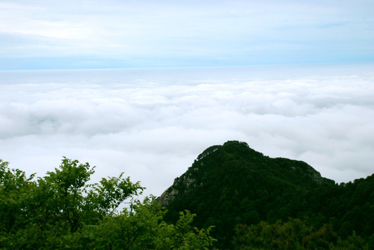 泰山 云海  泰山云海 山脉