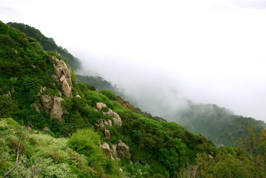 泰山 云海  泰山云海 山脉