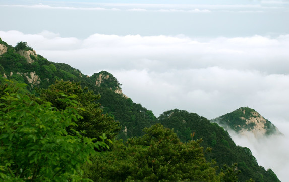 泰山 云海  泰山云海 山脉