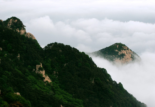 泰山 云海  泰山云海 山脉