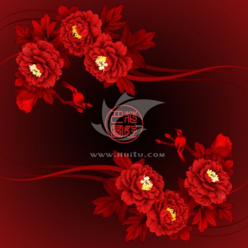 紅牡丹