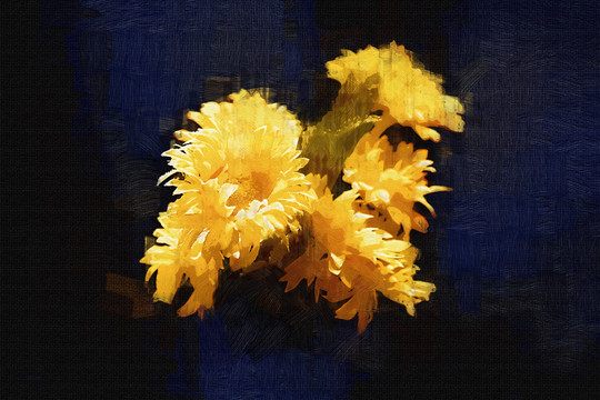 花卉油畫(huà) 小菊花 太陽(yáng)花