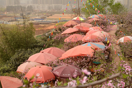 成都龙泉桃花沟农家乐