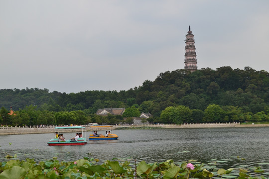 顺峰山公园风光