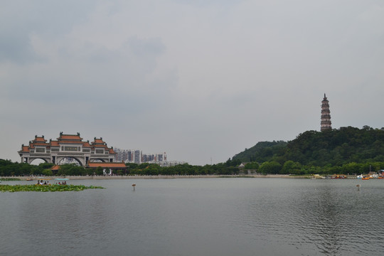 顺峰山公园风景