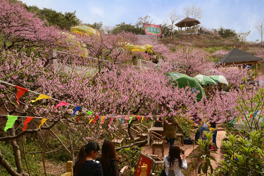 成都龙泉桃花沟农家乐