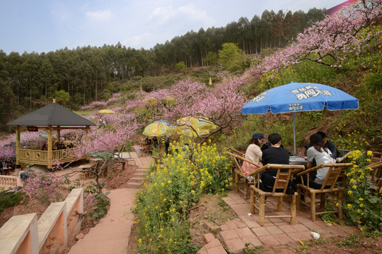 成都龙泉桃花沟农家乐