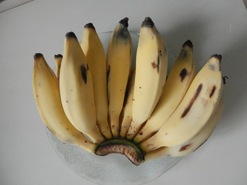 热带水果芭蕉