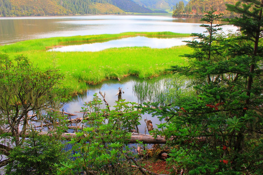 香格里拉属都湖