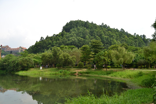 岭南青山绿水