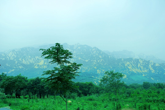 凤凰岭景区石山