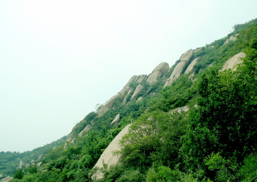 凤凰岭景区石山