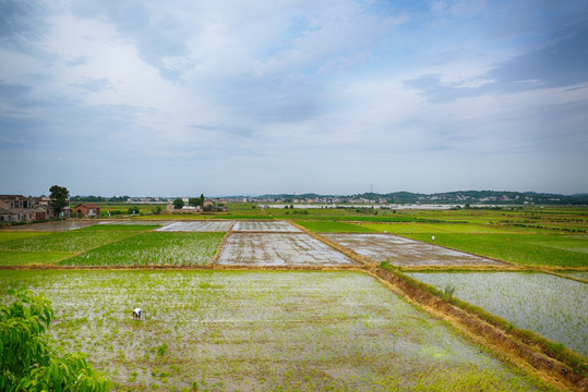 田园