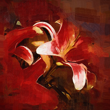 無(wú)框畫(huà) 裝飾畫(huà) 百合花