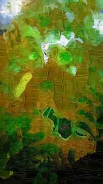抽象畫(huà)