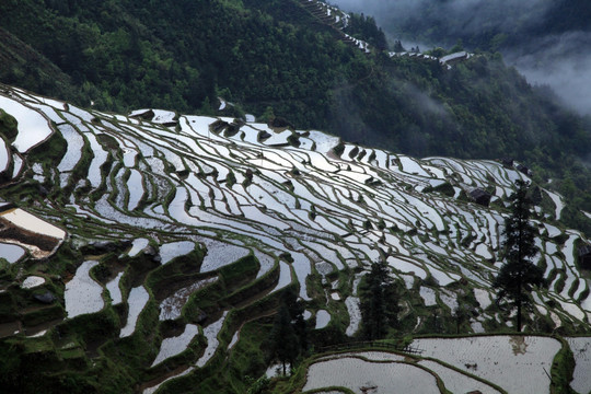 贵州梯田