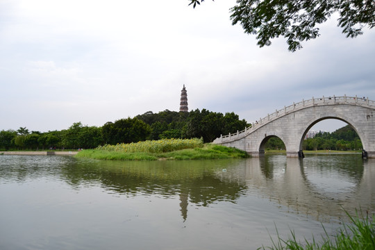 顺峰山公园