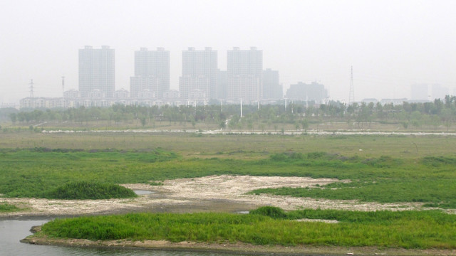 城市与湿地
