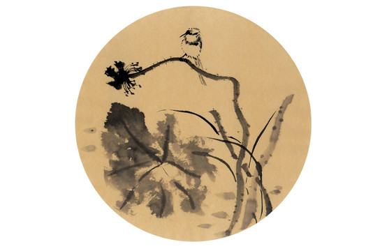 寫意荷花小鳥
